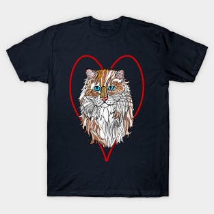 Ragamuffin Cat T-Shirt